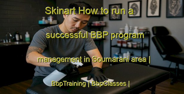 Skinart How to run a successful BBP program management in Soumarani area | BbpTraining | BbpClasses | SkinartTraining-Burkina Faso